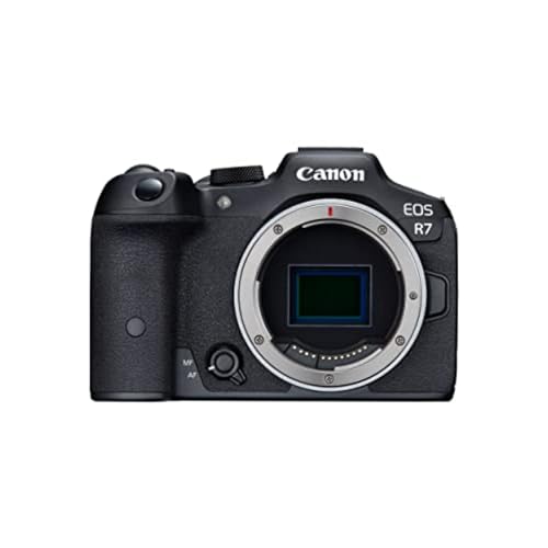 Rがおすすめ】人気のCanonミラーレスカメラ15選！初心者向けから